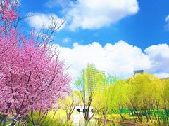 -新江湾城公园
