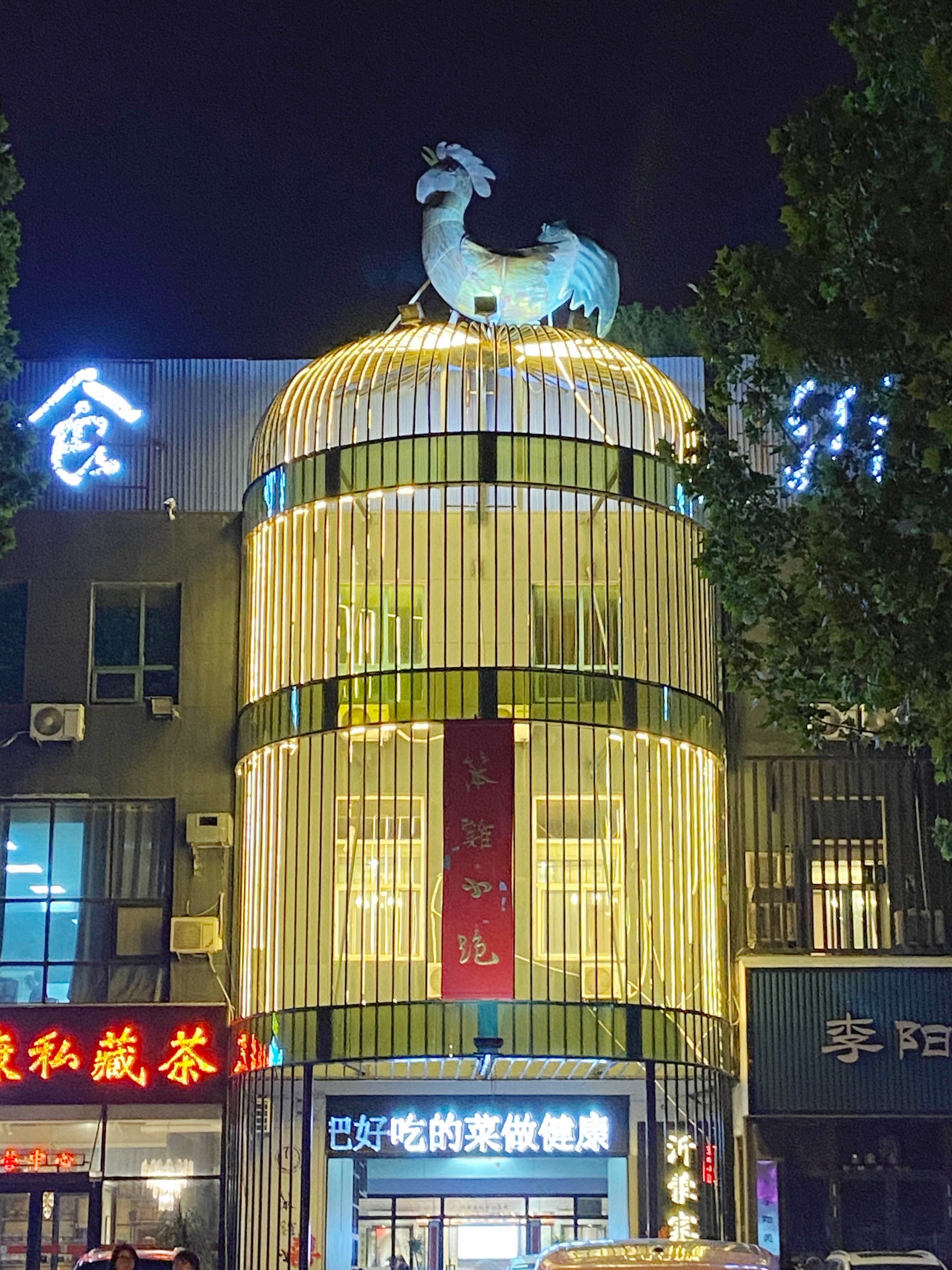 笨鸡小跑临沂总店图片