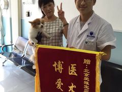 -中农大我爱我爱24h动物医院·中医针灸·猫专科·骨科医疗中心(双井店)