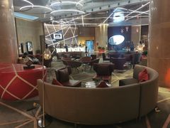 -南京禄口机场雅高铂尔曼大酒店