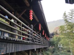 -大唐贡茶院