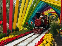 -合肥滨湖国家森林公园