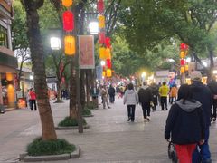 -鲁镇