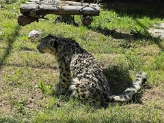 -青藏高原野生动物园