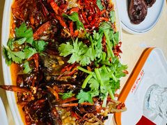 -杨氏青龙虾·羊蝎子(珠江路店)