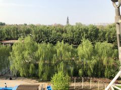 -西安汉城湖景区