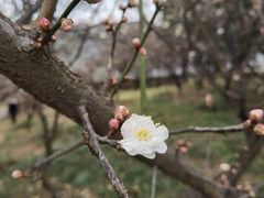 -洛阳市隋唐城遗址植物园