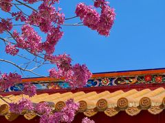 -天竺岩寺