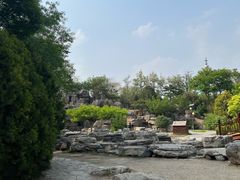 -莲花池公园