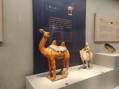 -镇江博物馆