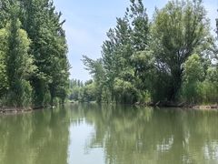 -微山湖红荷湿地景区