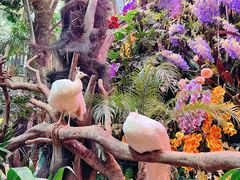 -正佳雨林生态植物园