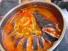 -弘烨 贵州酸汤 鱼火锅(东财店)