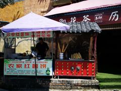 -茯茶镇
