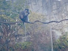 -杭州野生动物世界