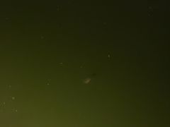 -DGE季风钓虾营地·团建·聚会
