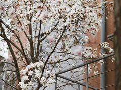 -南京晨光1865创意产业园