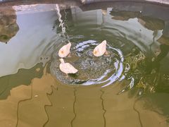 -南京海底世界