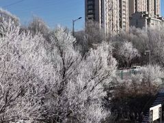 -雾凇岛