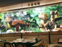 -野·大山里野生菌石锅土鸡(益田假日店)