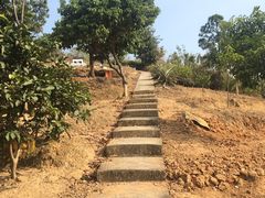 -彩虹桥宠物火化殡葬善终服务(金乐大厦店)