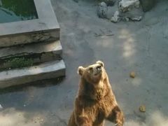 -保定市动物园