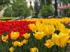 -天幕新彩云国际影城(激光巨幕店)