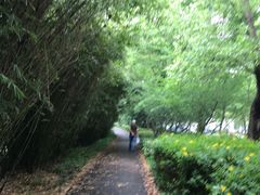 -新江湾城公园