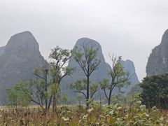 -钟山水墨田园