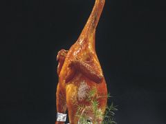 金鸡报喜-迪拜七星酒店·京港酒楼