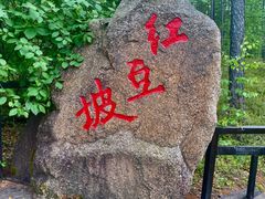 -莫尔道嘎国家森林公园