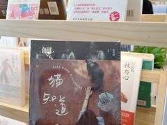 -猫的天空之城概念书店(北戴河蔚蓝海岸店)
