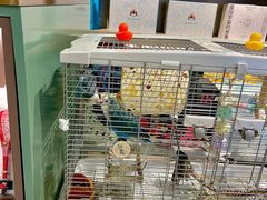 -遇外滩(BFC外滩金融中心店)