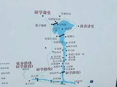-安吉龙王山风景区