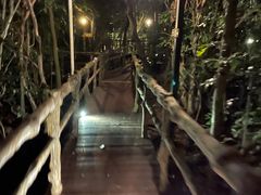 -三亚亚龙湾人间天堂鸟巢度假村