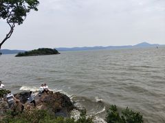 -桃花岛景观公园