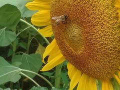 -长春公园(普阳街道)