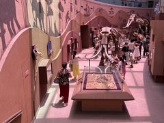 -陕西自然博物馆