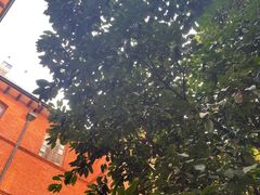 -Ocean's Table 欧舍