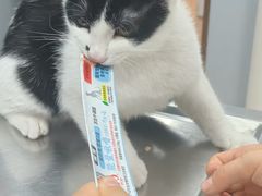 -瑞派·关忠动物医院·异宠专科·犬猫肿瘤·皮肤专科(望京店)