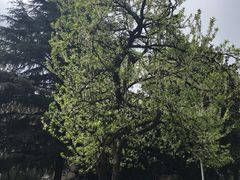 -西南交通大学(九里校区)