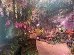 -正佳雨林生态植物园