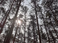 -长春净月潭风景名胜区