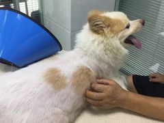 -莘程宠物医院(金山店)