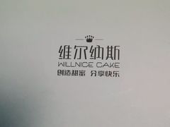 -维尔纳斯·生日蛋糕·动物奶油冰淇淋蛋糕(雨花店)