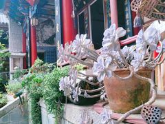 -寂照庵