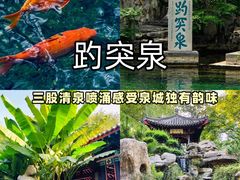 -老济南·地道济南菜(大明湖店)