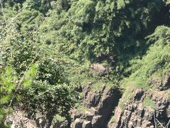 -广东大峡谷