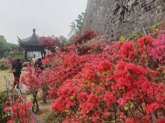 -老门东历史文化街区