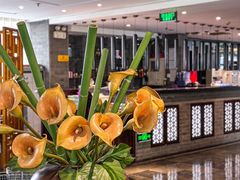-唐廊烤鸭店(工体店)